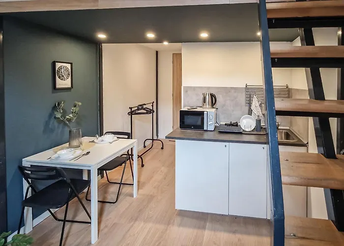 Red Viking Tiny Apartament *